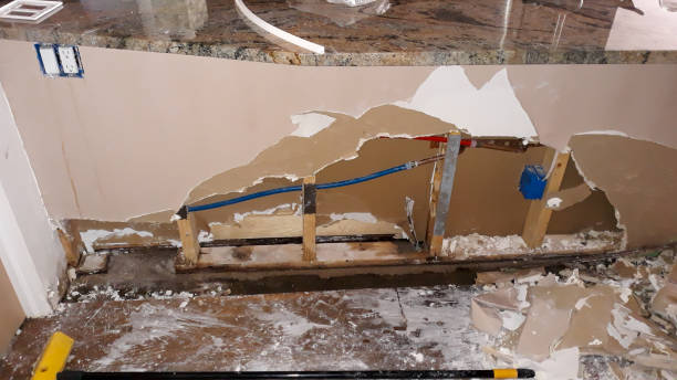 Best Water damage restoration near me  in Gentry, AR
