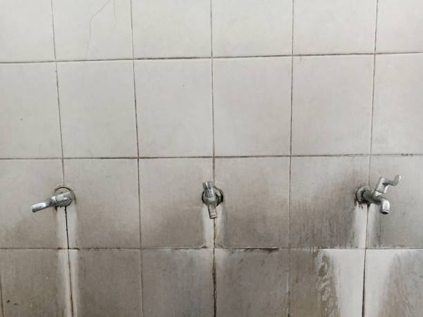 Best Sewage cleanup and water damage restoration  in Gentry, AR
